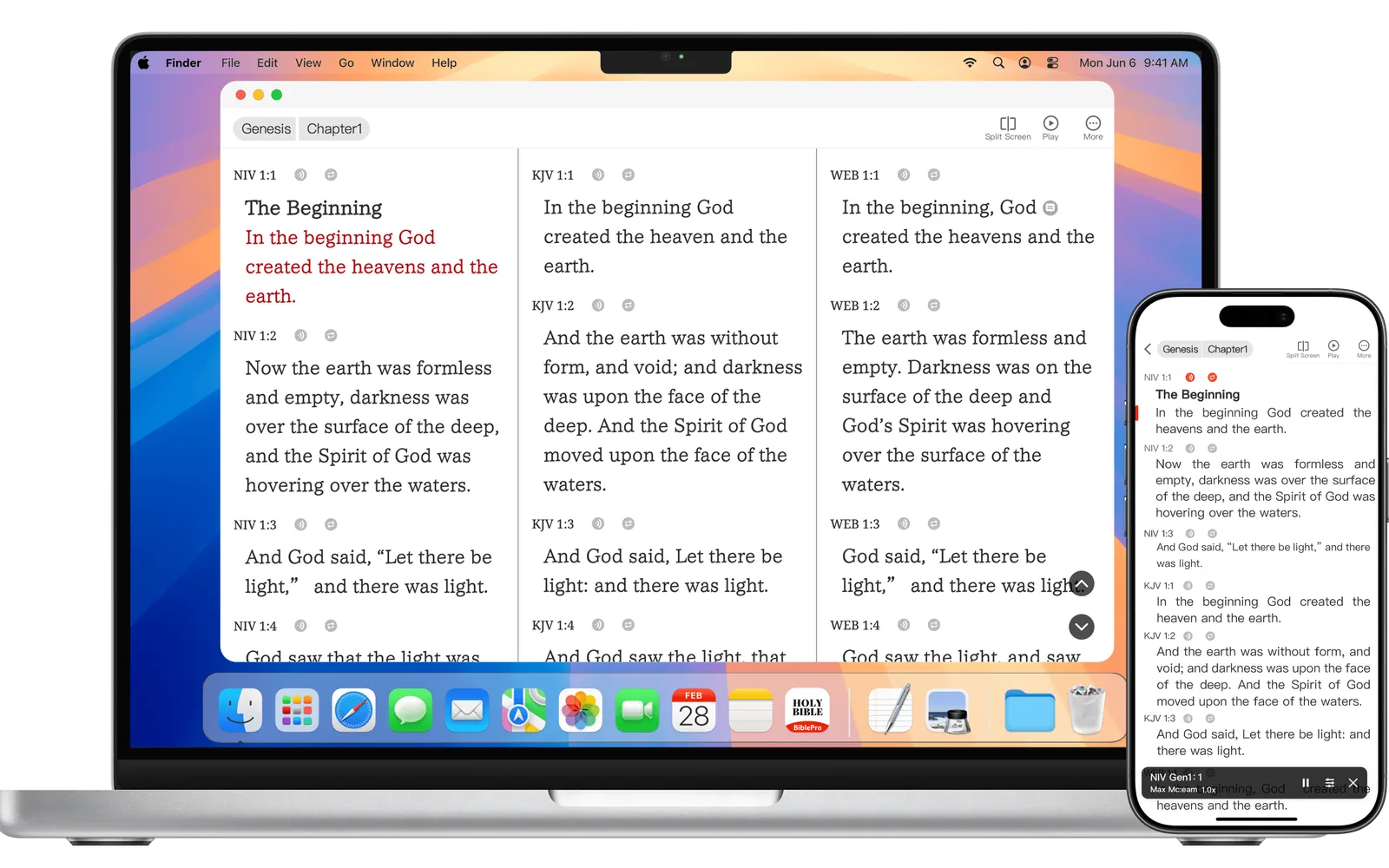 BiblePro — Bible Reader